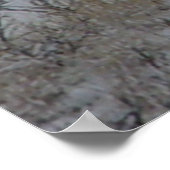 D21 ムレジカ鹿の雄 ポスター (角)