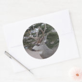 D25ミューレディアバックヘッドショット ラウンドシール (封筒)