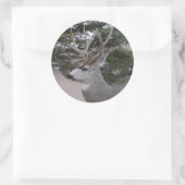 D25ミューレディアバックヘッドショット ラウンドシール (バッグ)