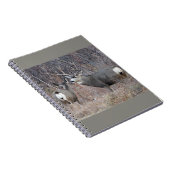 D29ミューレディアバック&ドー ノートブック (右側)