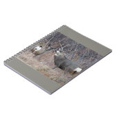 D29ミューレディアバック&ドー ノートブック (左側)