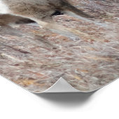 D29ミューレディアバック&ドー ポスター (角)