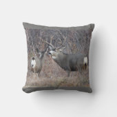 D29ムレディアー クッション (正面)