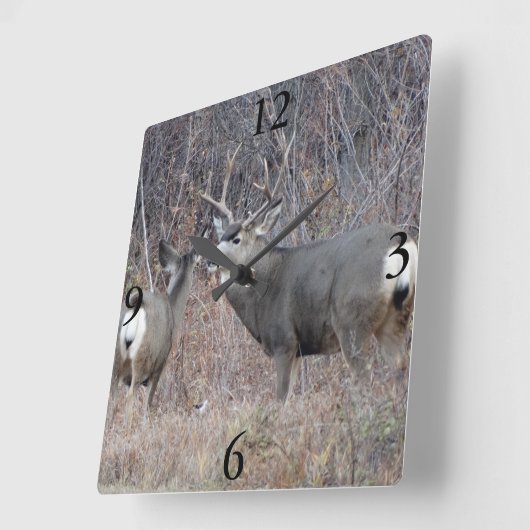 D29ムレディアー スクエア壁時計 (傾斜)