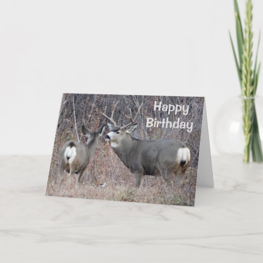 D29ラバ鹿 カード (正面)