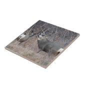 D29 ムレジカ鹿のオスとメス タイル (側面)