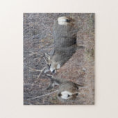 D29 ムレジカ鹿の雄と雌 ジグソーパズル (縦)