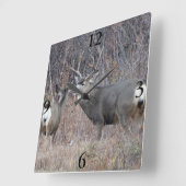 D29 ムール鹿 スクエア壁時計 (傾斜)