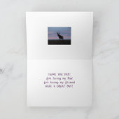 D3ミュール鹿バックサンライズバック カード (内部)