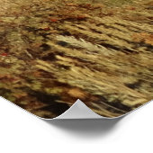 D30ミューレディアバックス ポスター (角)