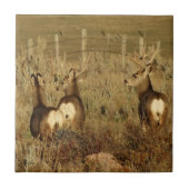 D30ラバシカの木びき台 タイル (正面)