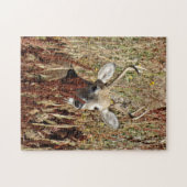 D31白尾の鹿の雑草 ジグソーパズル (横)