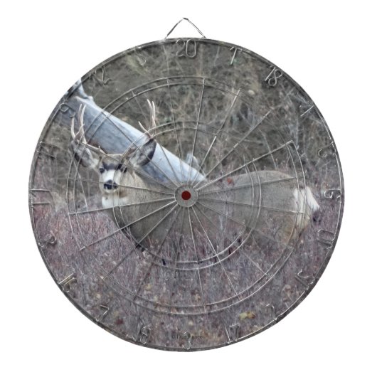 D32ミューレディアバック ダーツボード (正面)