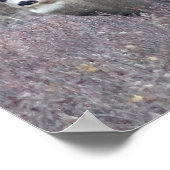 D32ミューレディアバック ポスター (角)