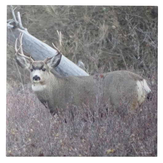 D32ラバシカの木びき台 タイル (正面)