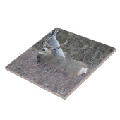 D32ラバシカの木びき台 タイル (側面)