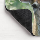 D33白尾の鹿の雌鹿のマウスパッド マウスパッド (コーナー)