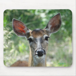 D33白尾の鹿の雌鹿のマウスパッド マウスパッド