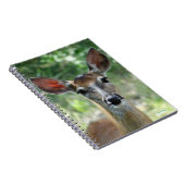 D33白尾の鹿の雌鹿 ノートブック (右側)