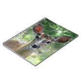 D33白尾の鹿の雌鹿 ノートブック (左側)