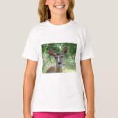 D33白尾鹿Doe Tシャツ (正面)