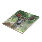 D33 White-tailed Deer Doe タイル (側面)