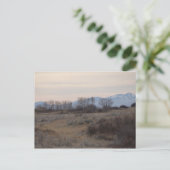 D4ミュールディアバックとスイートグラスヒルズ ポストカード (スタンド正面)