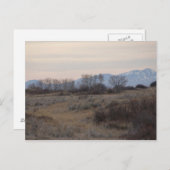 D4ミュールディアバックとスイートグラスヒルズ ポストカード (正面/裏面)