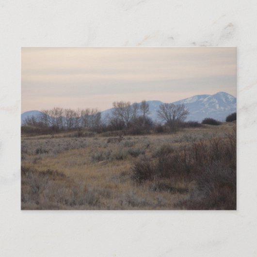 D4ミュールディアバックとスイートグラスヒルズ ポストカード (正面)