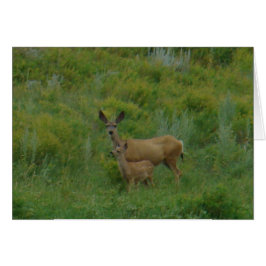 D5ミューレディアドーと子鹿