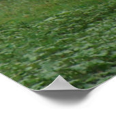 D5ミューレディアドーと子鹿 ポスター (角)