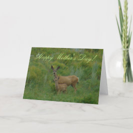 D5ラバシカの雌ジカおよび子鹿 カード