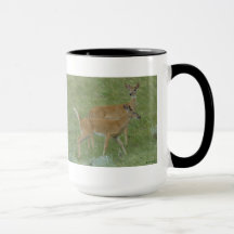 D6白尾の鹿のヤングバックス