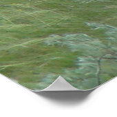 D6 シカ 舌を出したオス ポスター (角)