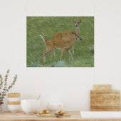 D6 シカ 舌を出したオス ポスター (キッチン)