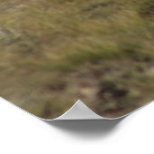 D9 ベルベットのムール鹿の雄鹿 ポスター (角)