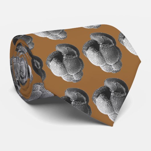 D.のaltispiraのタイ ネクタイ (ロール)