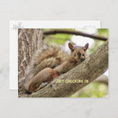 D.はがきの様子をチェックインする ポストカード (正面/裏面)