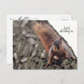 D.はがきをチェックインする ポストカード (正面/裏面)