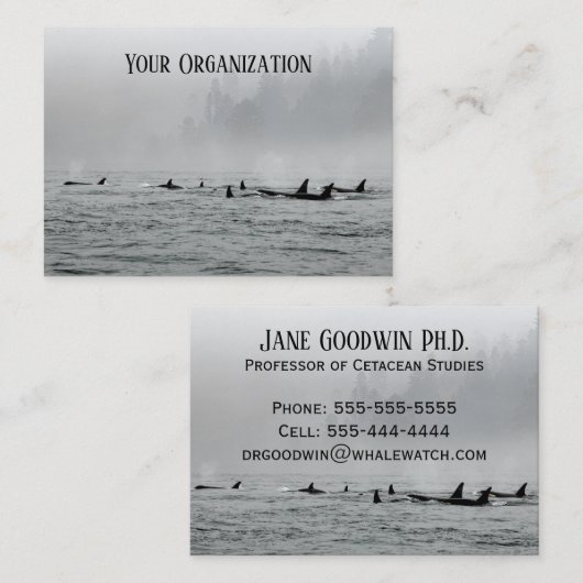 D.クジラ 名刺 (正面/裏面)