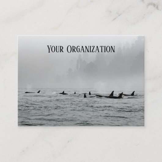 D.クジラ 名刺 (正面)