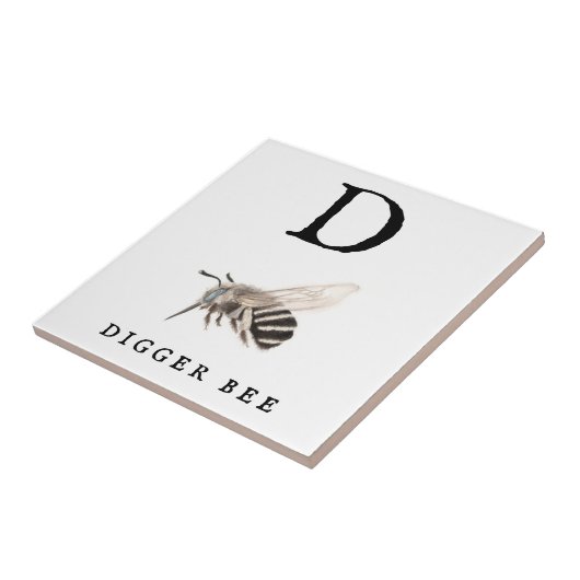 "D"ディガービー タイル (側面)