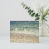 D.ハワードヒッチコックによるビーチのカニ ポストカード (スタンド正面)