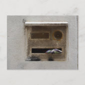 :D ポストカード (正面)