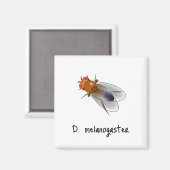 D.メラノガスターマグネット マグネット (正面/裏面)