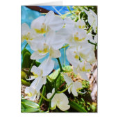 D.一緒に旅す結婚るカード (正面)