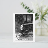 D.楽しい乗り物を見る ポストカード (スタンド正面)