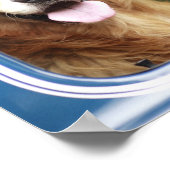 D.車に乗って座る犬 ポスター (角)