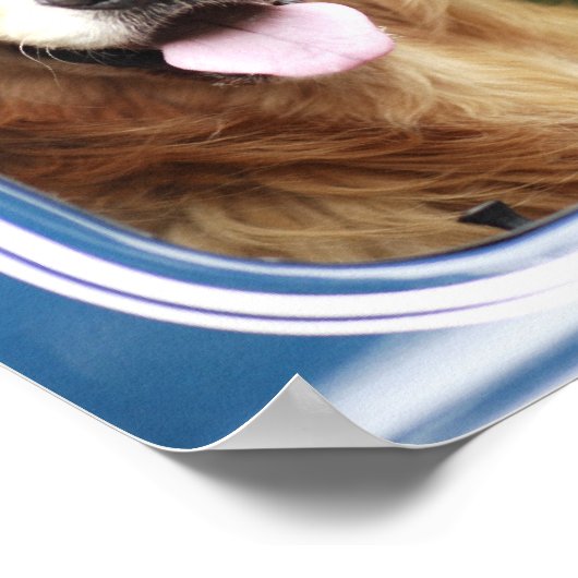 D.車に乗って座る犬 ポスター (角)