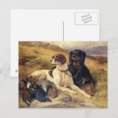 D.銃の提供 ポストカード (正面/裏面)